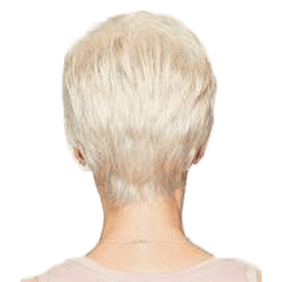 Raquel Welch Winner Wig Hairpiece - Average