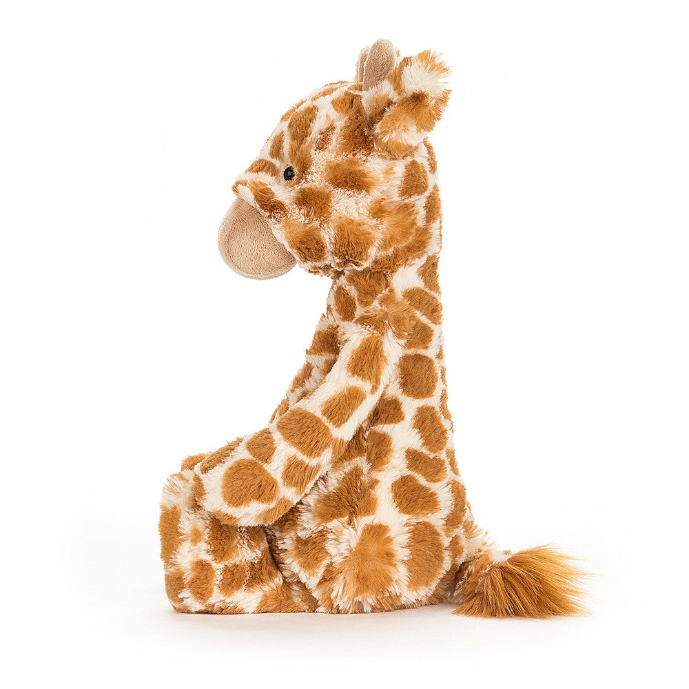 Bashful Giraffe _ Medium