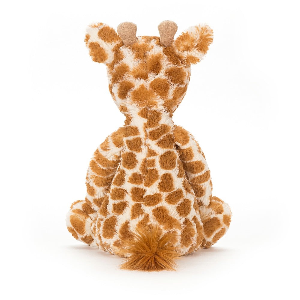 Bashful Giraffe _ Medium