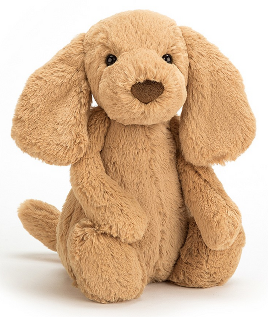 Bashful Toffee Puppy