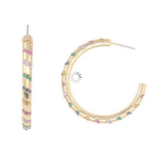 Rainbow Hoop Earrings